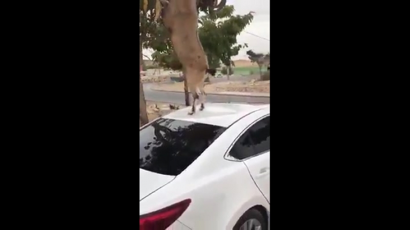 Хорошая подстаа!