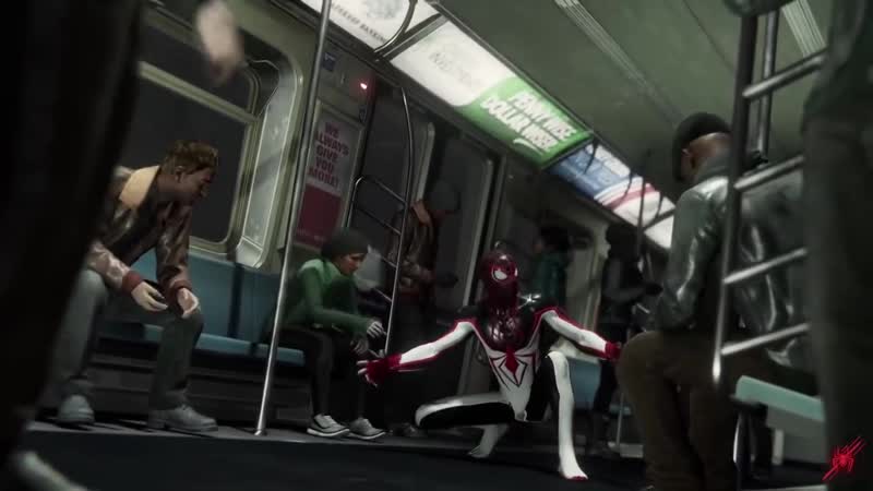 Павук флексит