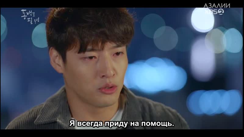 Когда цветет камелия 19/20