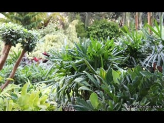 Gionee marathon m5 enjoy camera review | snap's | samples | video test | photo's | testing