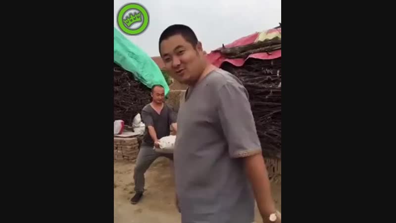 С криком кия! и ударом ноги