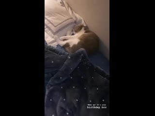 Lisa instastory 080220