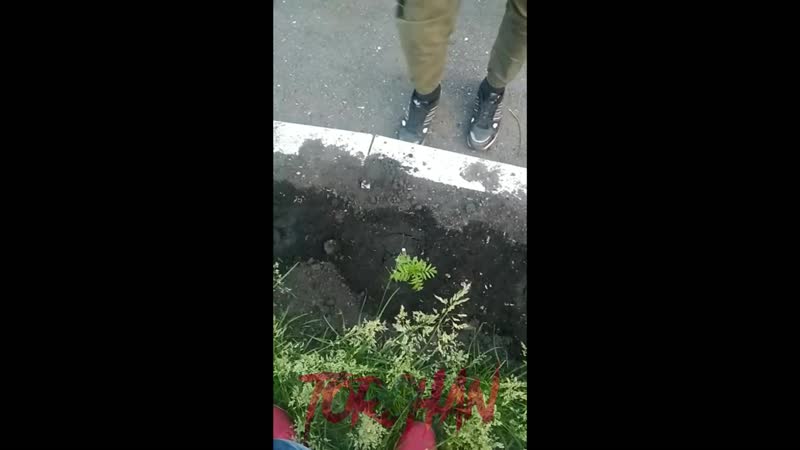 Подписчики подрывают xd