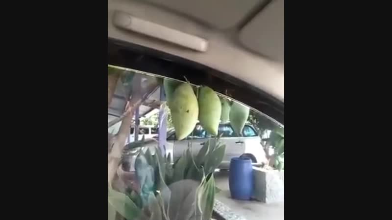 Воровать плохо но немножко то можно