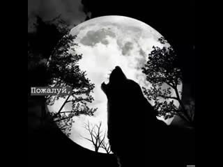 Tommy s t hardi 20200401 6 mp4