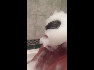 Видео избиение девушки, ученицами 4 школы