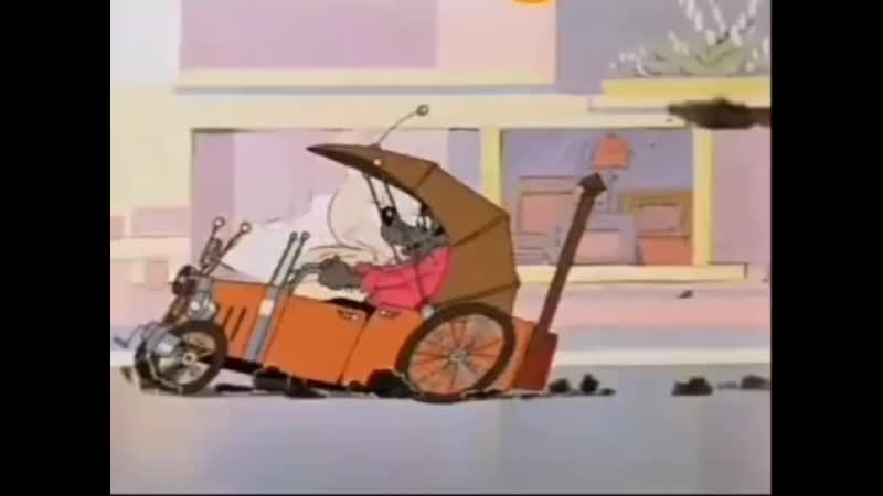 Шок волк стащил ламбу у влад а4 и теперь едет за зайцем