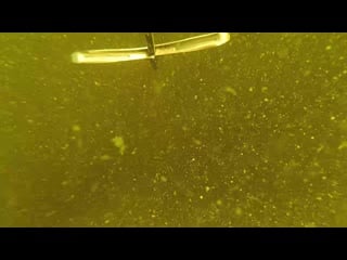 Trim 20200901 211117 mp4