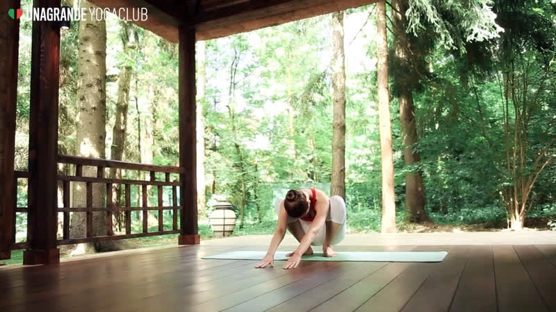 Поза гирлянды маласана