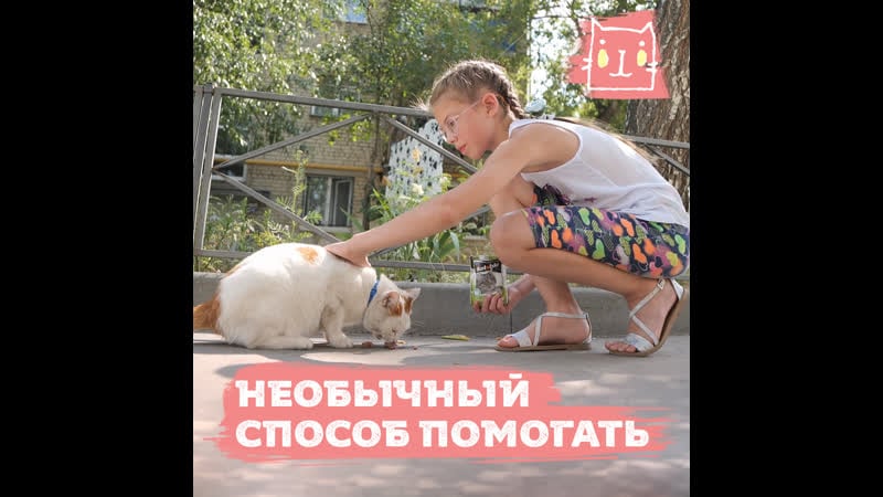 18 летняя девочка устроила акцию в поддержку молодые на передержке