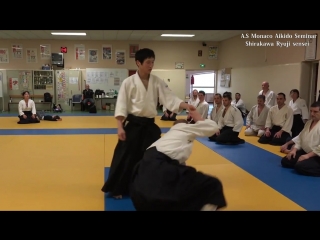 Aikido shirakawa ryuji sensei seminar in monaco2016 (highlight) 白川竜次先生