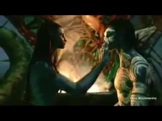Avatar jake & neytiri