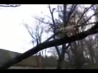 Супер паркур