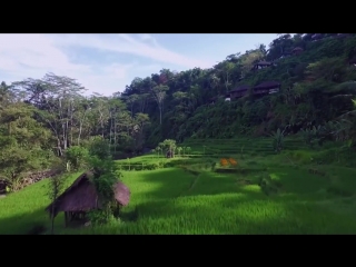 Must do ubud, indonesia little grey box