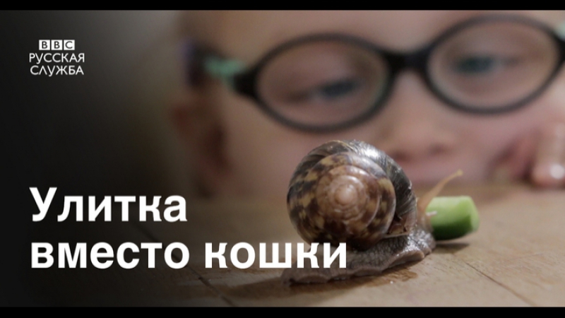 Улитка лучший друг человека?