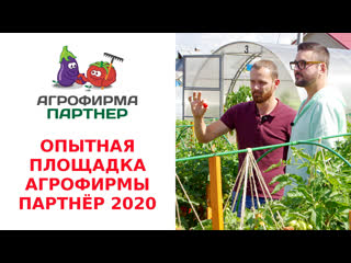 Опытная площадка агрофирмы партнёр 2020