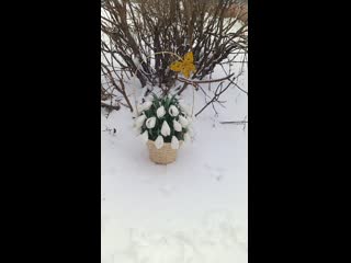 Мк подснежники из изолона на плафоне светильник из изолона