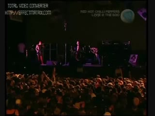 Your pussy's glued to a building on fire live at big day out 2000 01 26 sydney
