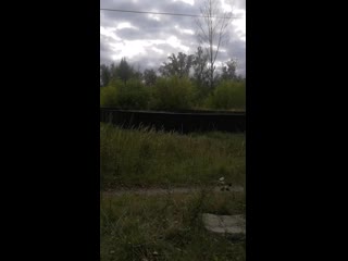 Vid 20200914 151405 mp4