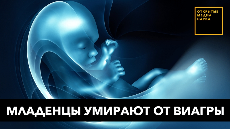 Эксперимент с виагрой привел к смерти младенцев