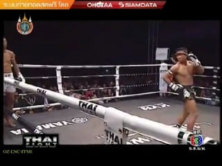 Buakaw por pramuk vs toure abdoul [thai fight porn 2012]