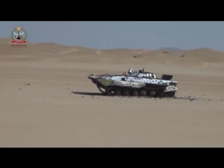 Южанами позиции хуситов+уничтоженная бмп 1 в провинции шабва