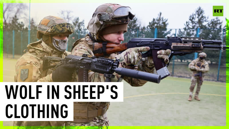 From neo nazis to 'freedom fighters' | msm's views on azov battalion