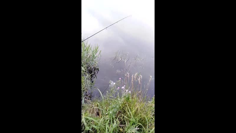 Дерьмовый карабин,админ и полторашка ))