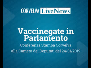 #corvelvalivenews conferenza stampa corvelva alla camera (24/01/2019)