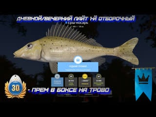 Русская рыбалка 4 рр4 дневной/вечерний лайт 30 дней према в боксе на трово! ссылка в описании!