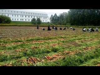 Моркоа, толга и акафист