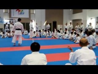 2017 jkf seminar enpi kankusho 全空連流派別講習会 松濤館第二指定形