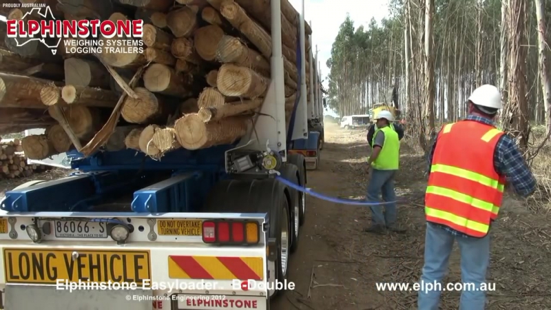 Лесовоз трансформер, полуприцеп 2 прицепа