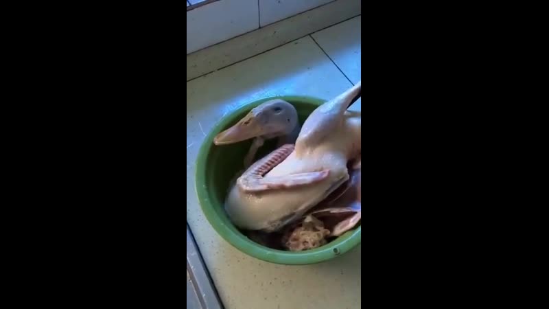 Хорошо смеется тот, кто смеется последним