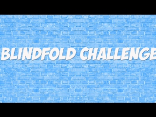 Видео с подписчицей №1// blindfold challenge