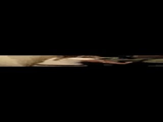 Пяные иололетки