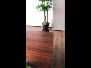 180718 ztao @ zitao's dad weishi update