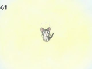 Chis sweet home [10 of 104] ancord