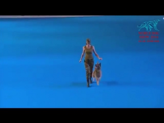 Campionato mondiale dogdance russia mosca finale freestyle lusy imbergerova