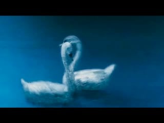 Pink floyd "a pillow of winds"