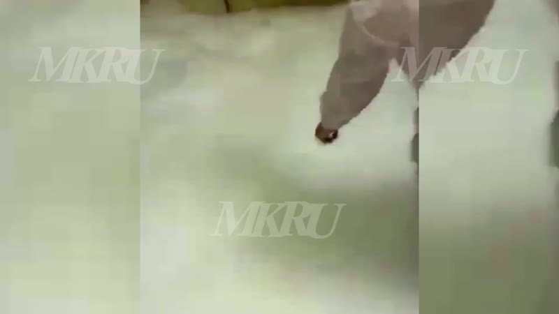 На вечеринке российской блогерши в бане погибли три человека