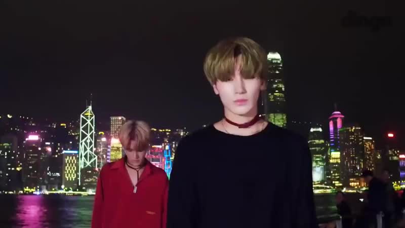 Fake love | woosan
