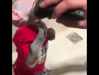 Побрили мартышку