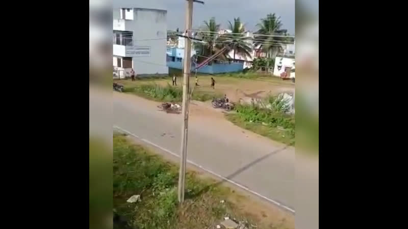 Нет, это не украина, а индия, но там тоже леопарды терроризируют население