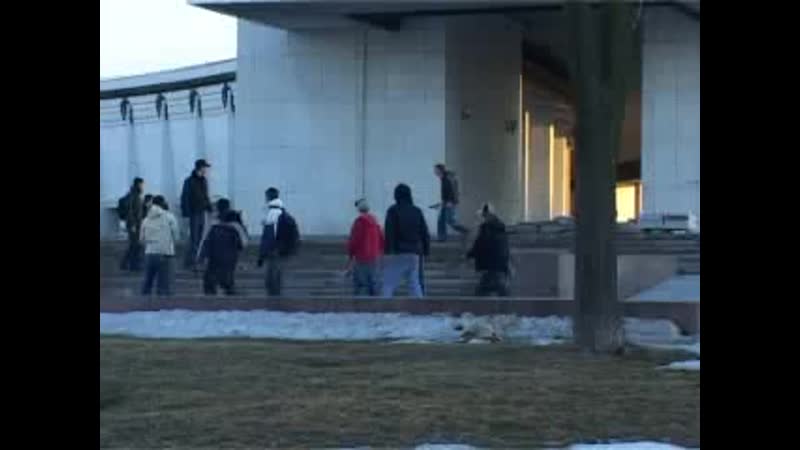 Скинов отпиздили нефоры)))