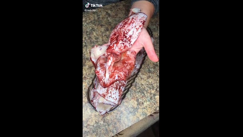 Любите кальмары?