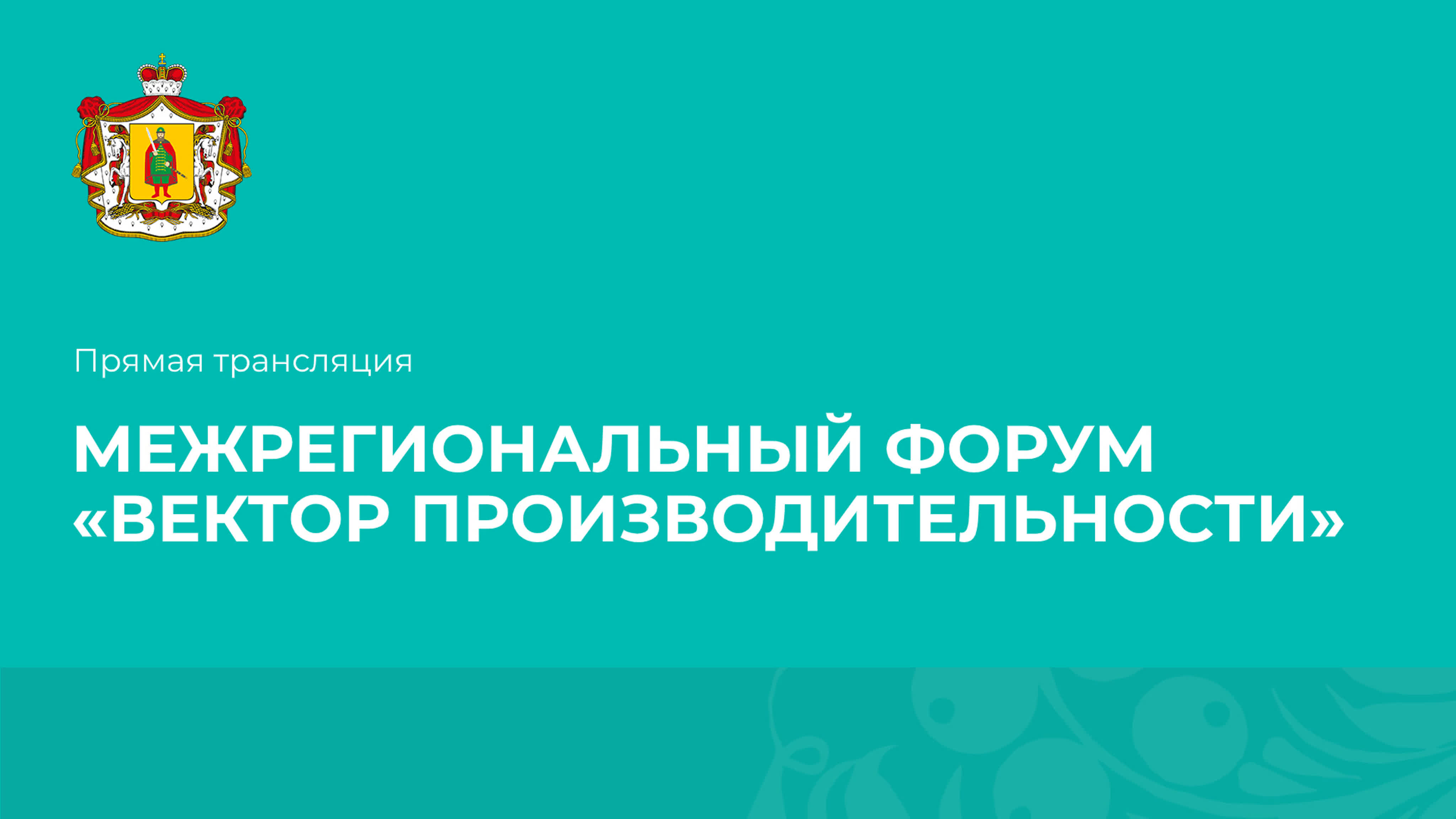 biqle vichatter Межрегиональный форум «вектор производительности» watch online