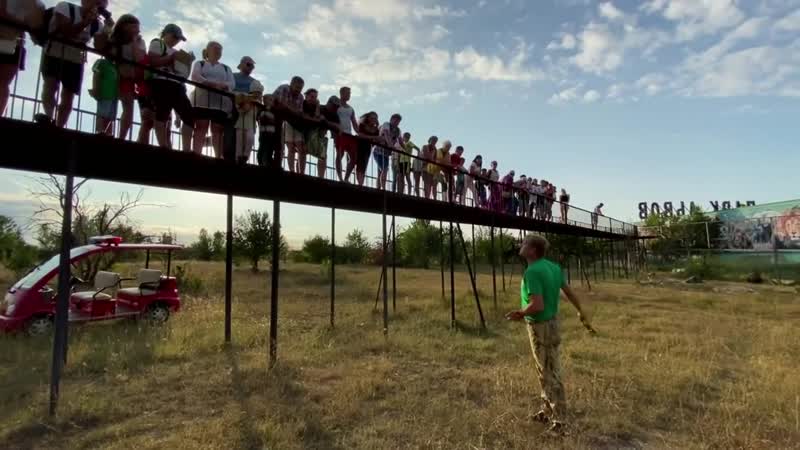 Издевательство даже над памятью львицы((((!!!