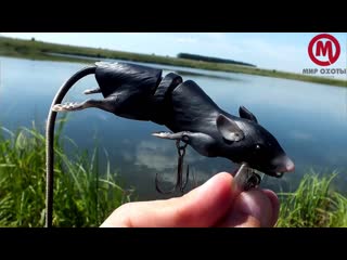 Крыса savage gear 3d rad детальный обзор