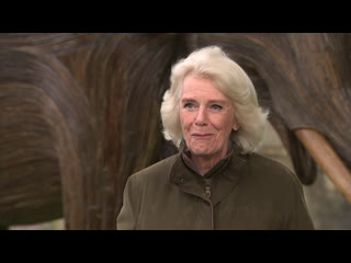 Camilla, duchess of cornwall remembers her late brother during elephant charity visit